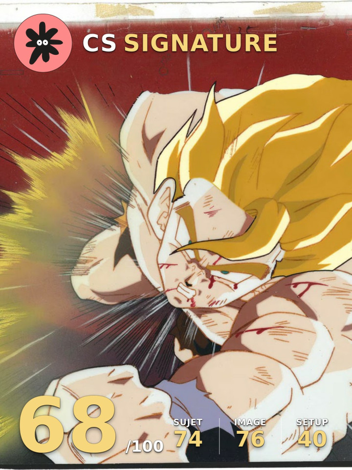 Goku fuit Namek en flammes